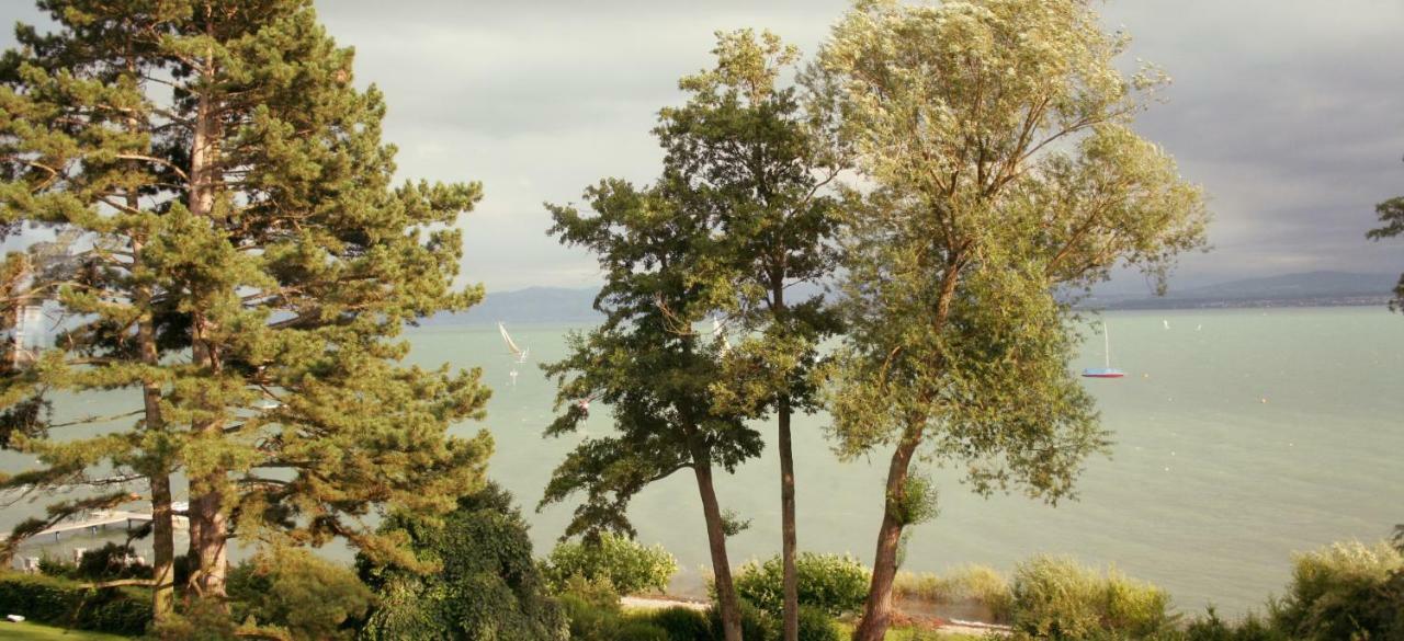 Loft Am See Mit Privatem Badestrand Und Klimaanlage Immenstaad am Bodensee Exterior foto